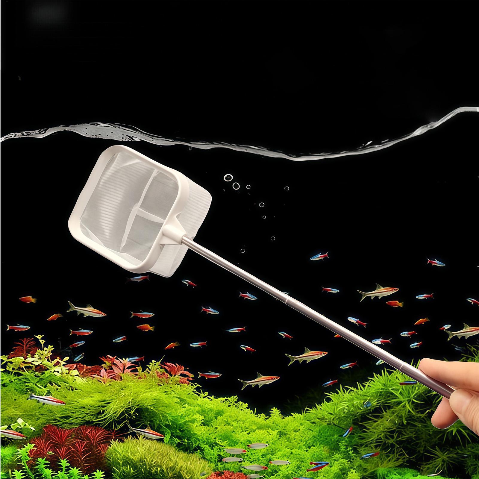 Extendable Long Handle Fine Me - Aquarium Fish Long recensione e prezzo