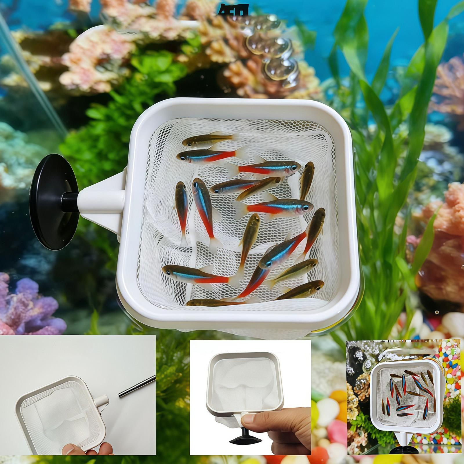 Extendable Long Handle Fine Me - Aquarium Fish Long recensione e prezzo