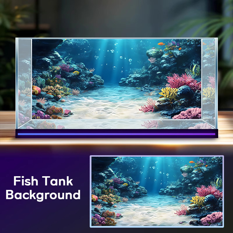 Rainbow Coral Reef，Fish tank b - Aquarium Fish Rainbow recensione e prezzo
