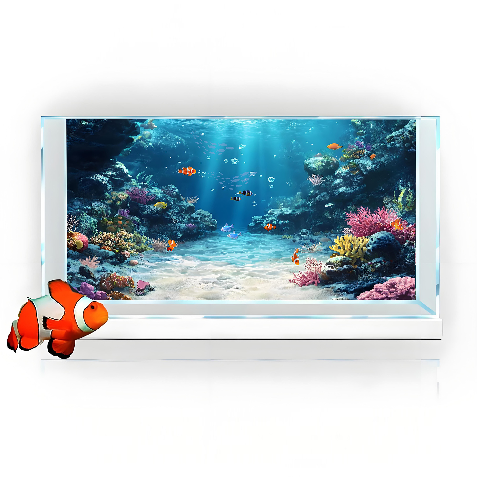 Rainbow Coral Reef，Fish tank b - Aquarium Fish Rainbow recensione e prezzo
