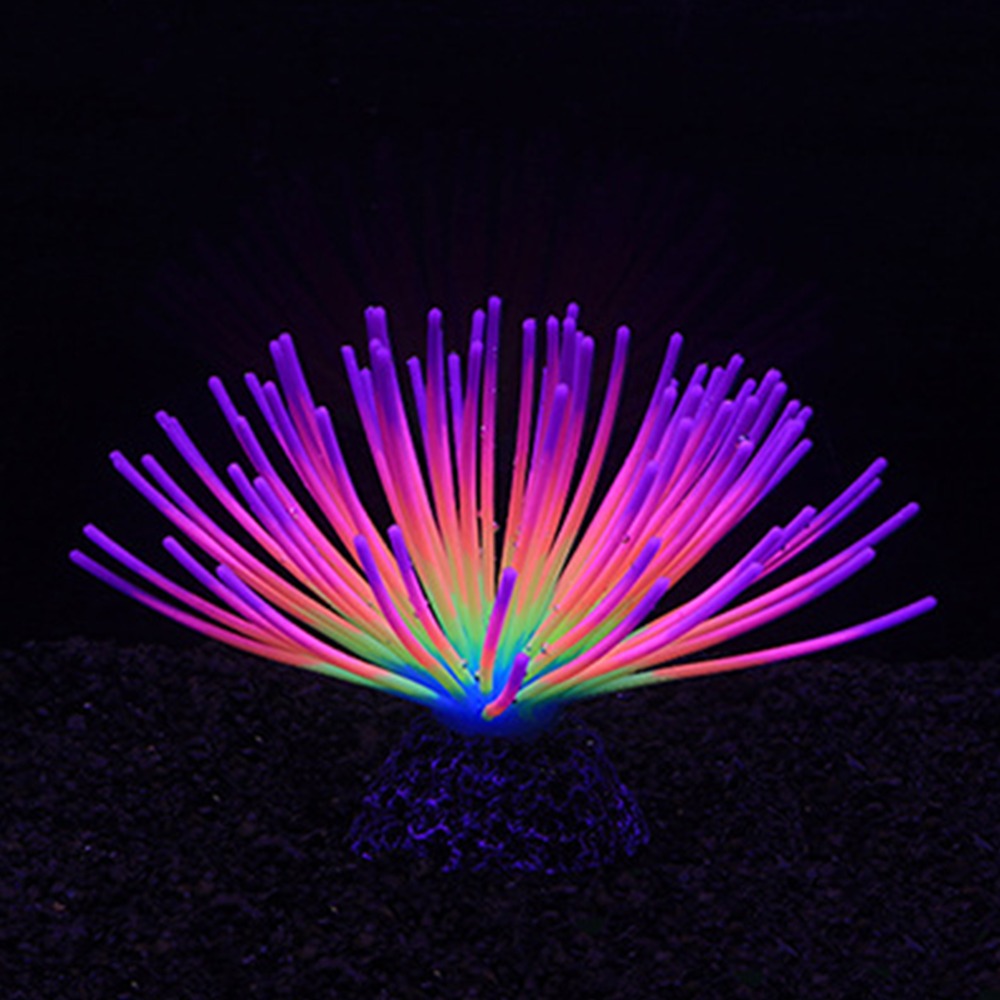 Colorful Aquarium Silicone Cor - Aquarium Fish Rainbow recensione e prezzo