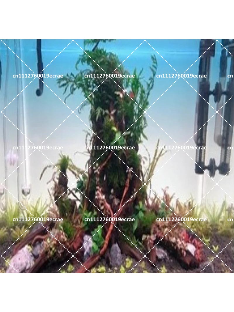 Aquarium Background Board LED  - Aquarium Fish Rainbow recensione e prezzo
