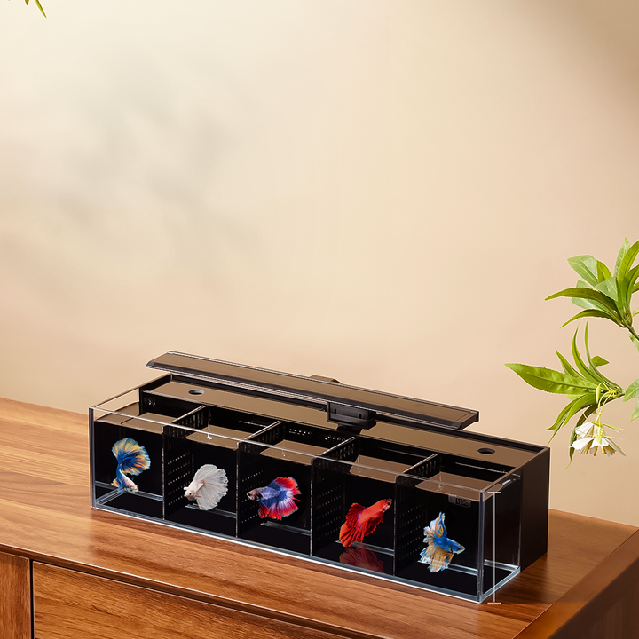 Modular Self-Cleaning Glass Fi - Aquarium Fish Zone recensione e prezzo