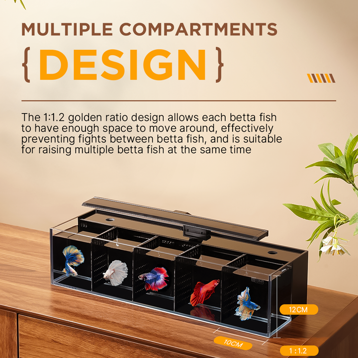 Modular Self-Cleaning Glass Fi - Aquarium Fish Zone recensione e prezzo