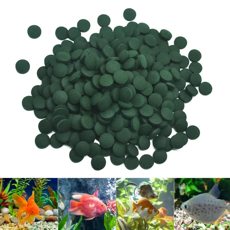 50-300Pcs High Purity Spirulin - Aquarium Fish Food recensione e prezzo