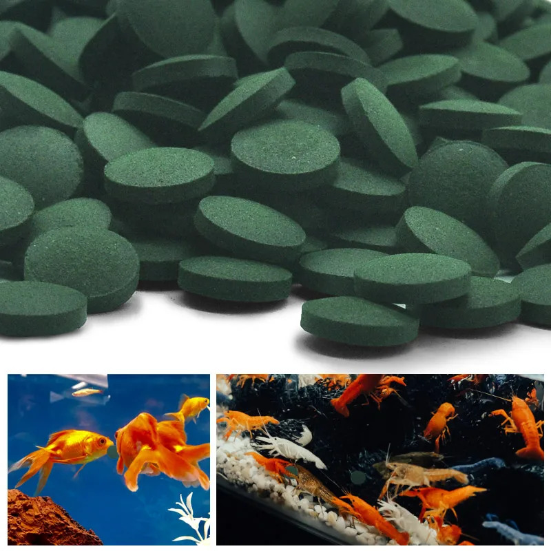 50-300Pcs High Purity Spirulin - Aquarium Fish Food recensione e prezzo