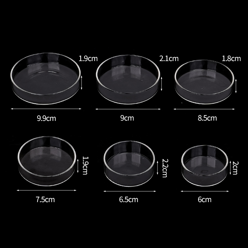 Shrimp Feeding Dish High Trans - Aquarium Fish Food recensione e prezzo