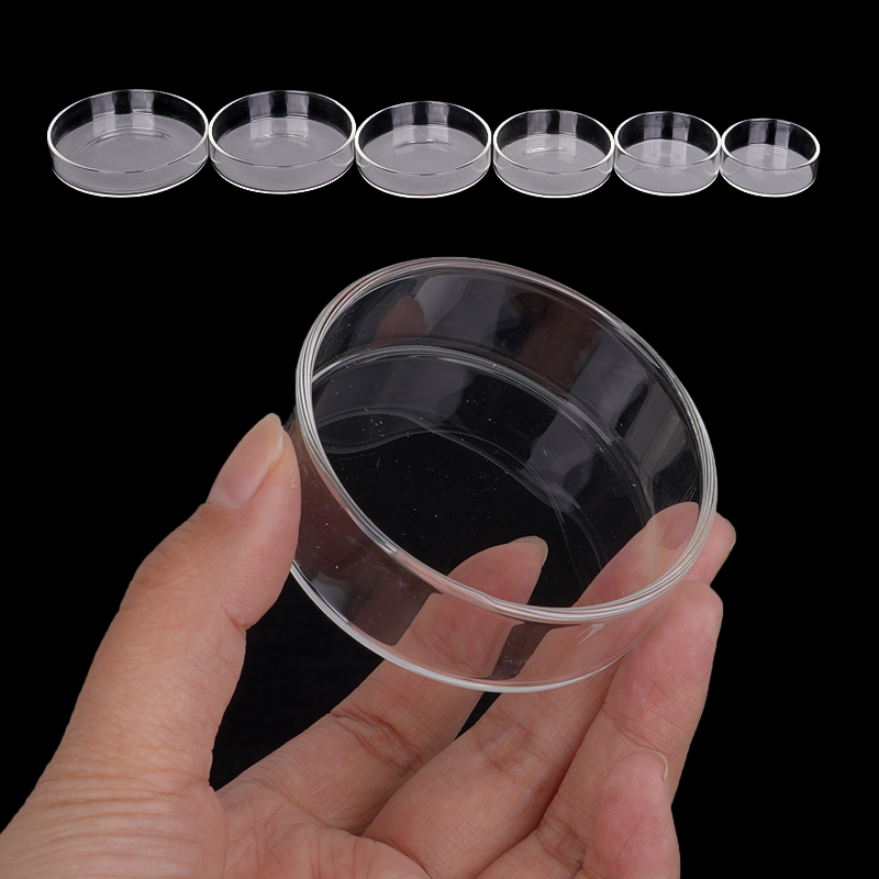 Shrimp Feeding Dish High Trans - Aquarium Fish Food recensione e prezzo