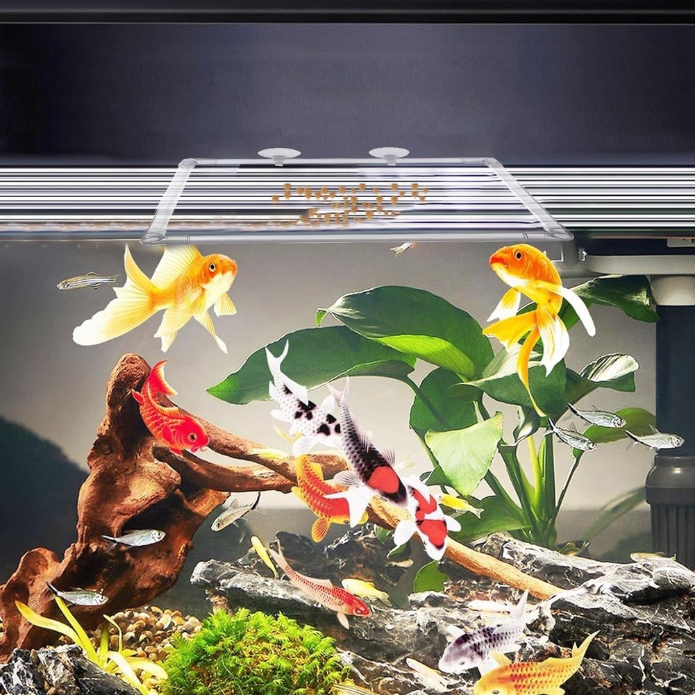 Aquarium Floating Plant Corral - Aquarium Fish Zone recensione e prezzo