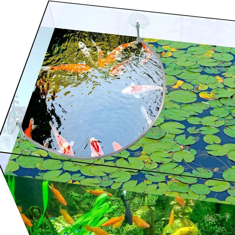 Floating Plant Corral Fish Fee - Aquarium Fish Food recensione e prezzo