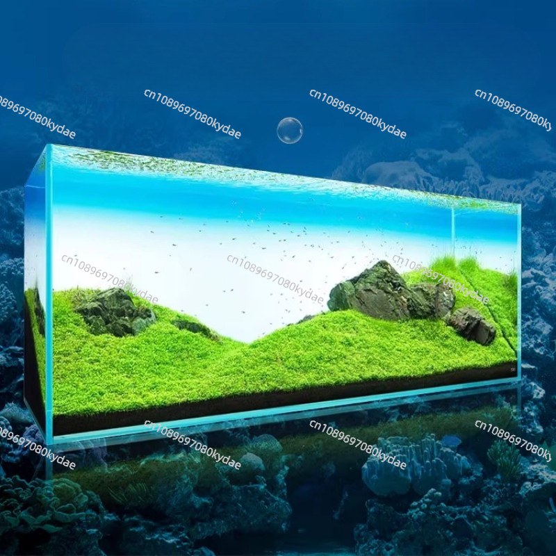 Fish Tank Background Board LED - Aquarium Fish Rainbow recensione e prezzo