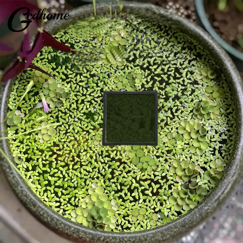 Aquarium Floating Plant Rings  - Aquarium Fish Zone recensione e prezzo