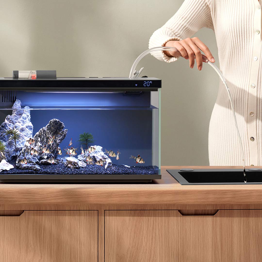 Xiaomi Mijia Smart Fish Tank M - Aquarium Fish Food recensione e prezzo