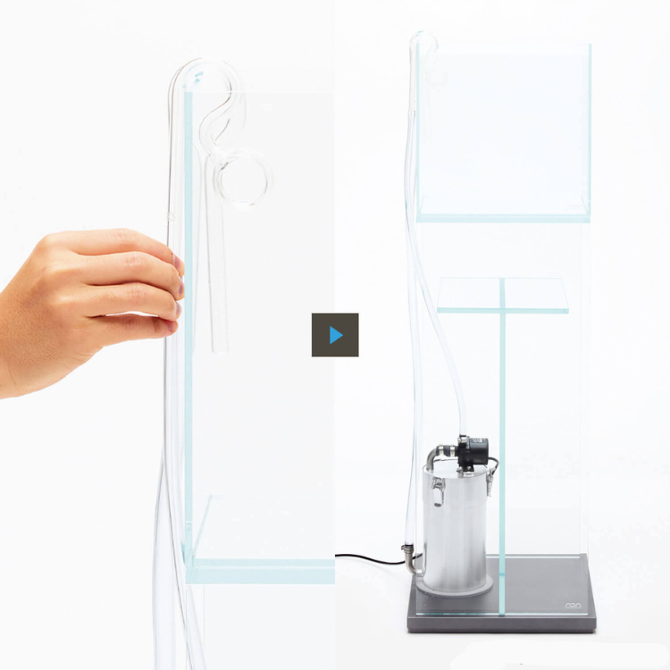 ADA Transparent Water Pipe Dia - Aquarium Fish Long recensione e prezzo