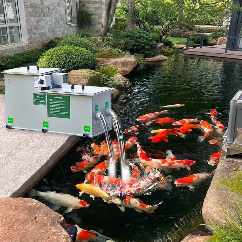 Outdoor Garden Pond Filtration - Aquarium Fish Pond recensione e prezzo