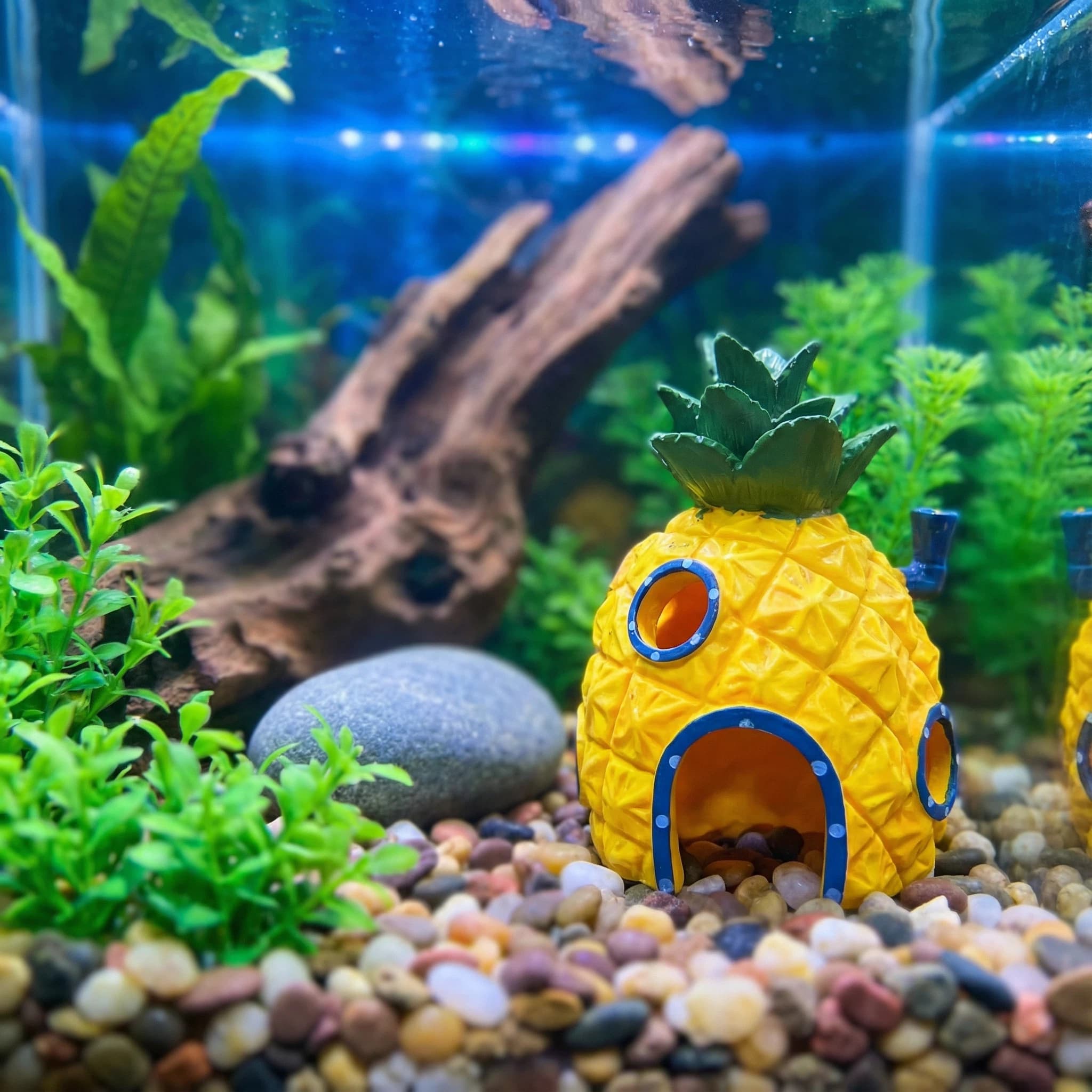 Pineapple House Aquarium Decor - Aquarium Fish Games recensione e prezzo