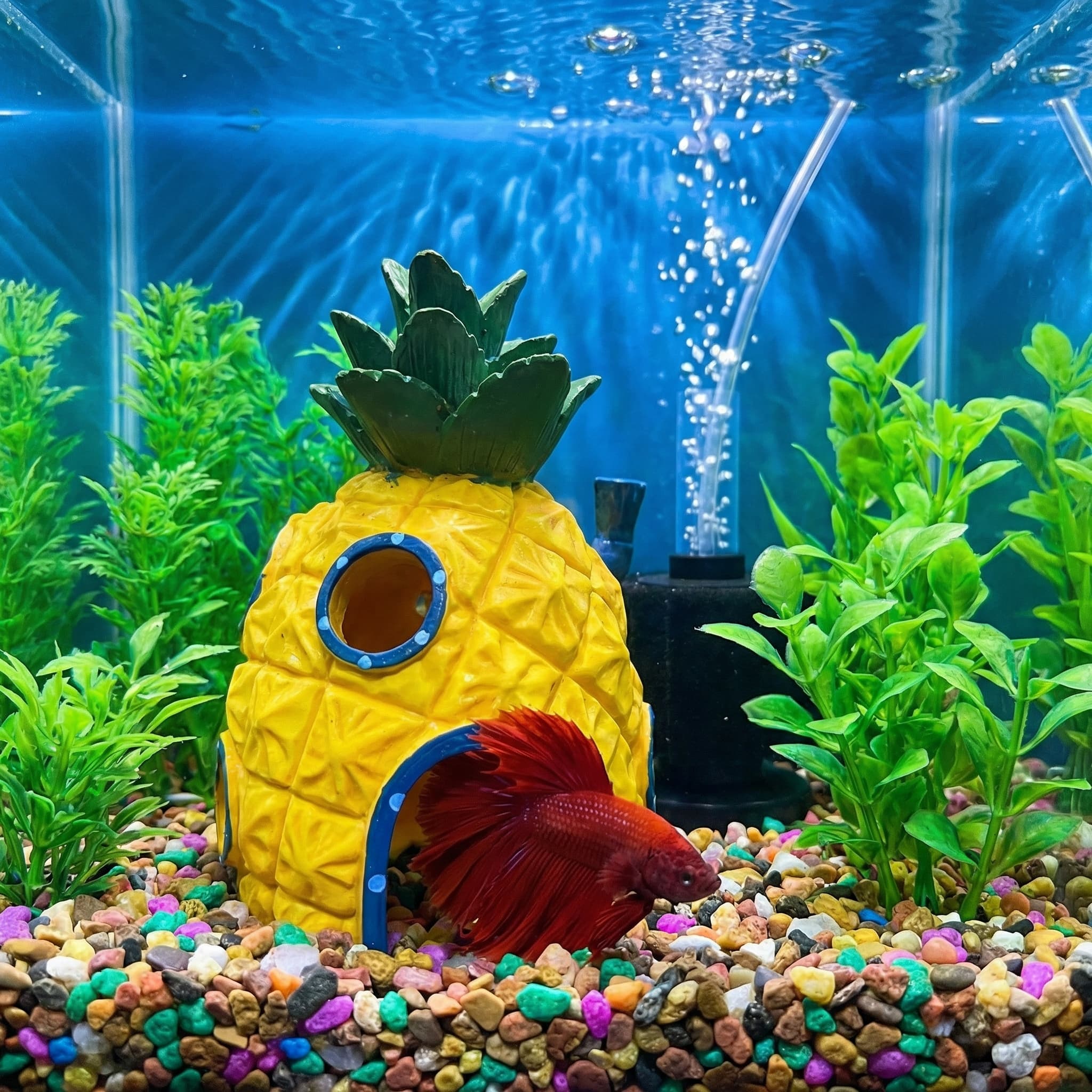 Pineapple House Aquarium Decor - Aquarium Fish Games recensione e prezzo