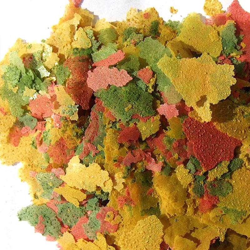 Ornamental Fish Thin Slice Foo - Aquarium Fish Rainbow recensione e prezzo