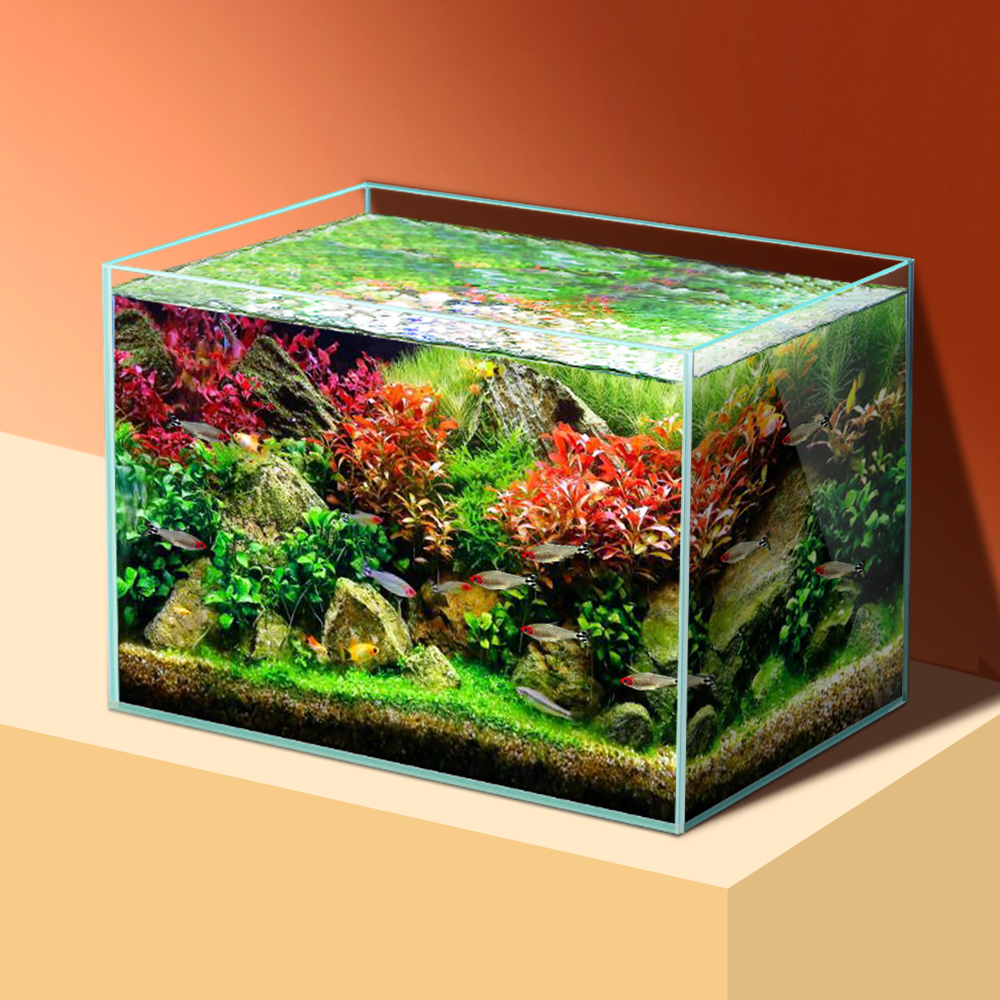 sttl Yee Pet Product Supplies  - All Fish In Aquarium recensione e prezzo