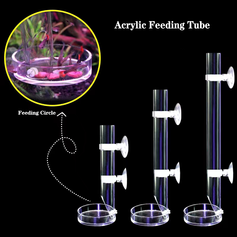 1Pcs Acrylic Aquarium Feeder T - Aquarium Fish Food recensione e prezzo