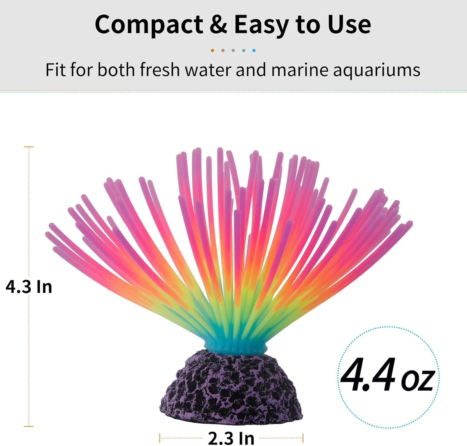 Aquarium Imitative Rainbow Sea - Aquarium Fish Rainbow recensione e prezzo