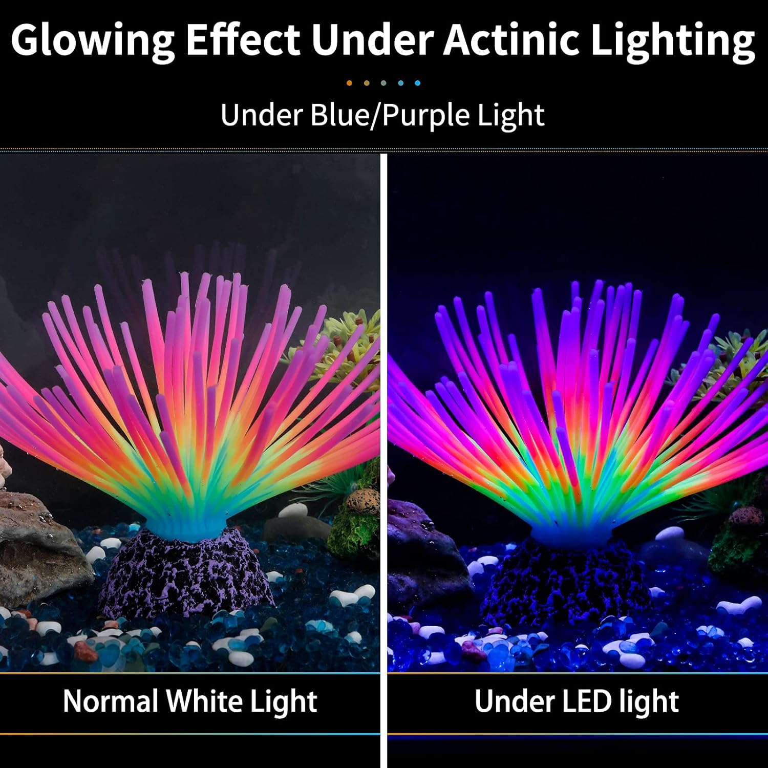 Aquarium Imitative Rainbow Sea - Aquarium Fish Rainbow recensione e prezzo